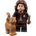 全新未拆封 LEGO 樂高 人偶抽抽包 71022 Harry Potter 哈利波特 1代 人偶單售-規格圖1