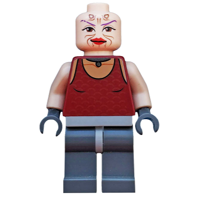 [BrickHouse] LEGO 樂高 7930 sw0305 Sugi 全新