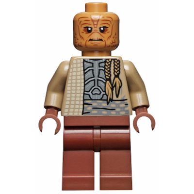 [BrickHouse] LEGO 樂高 75326 sw1197 Weequay Guard 全新