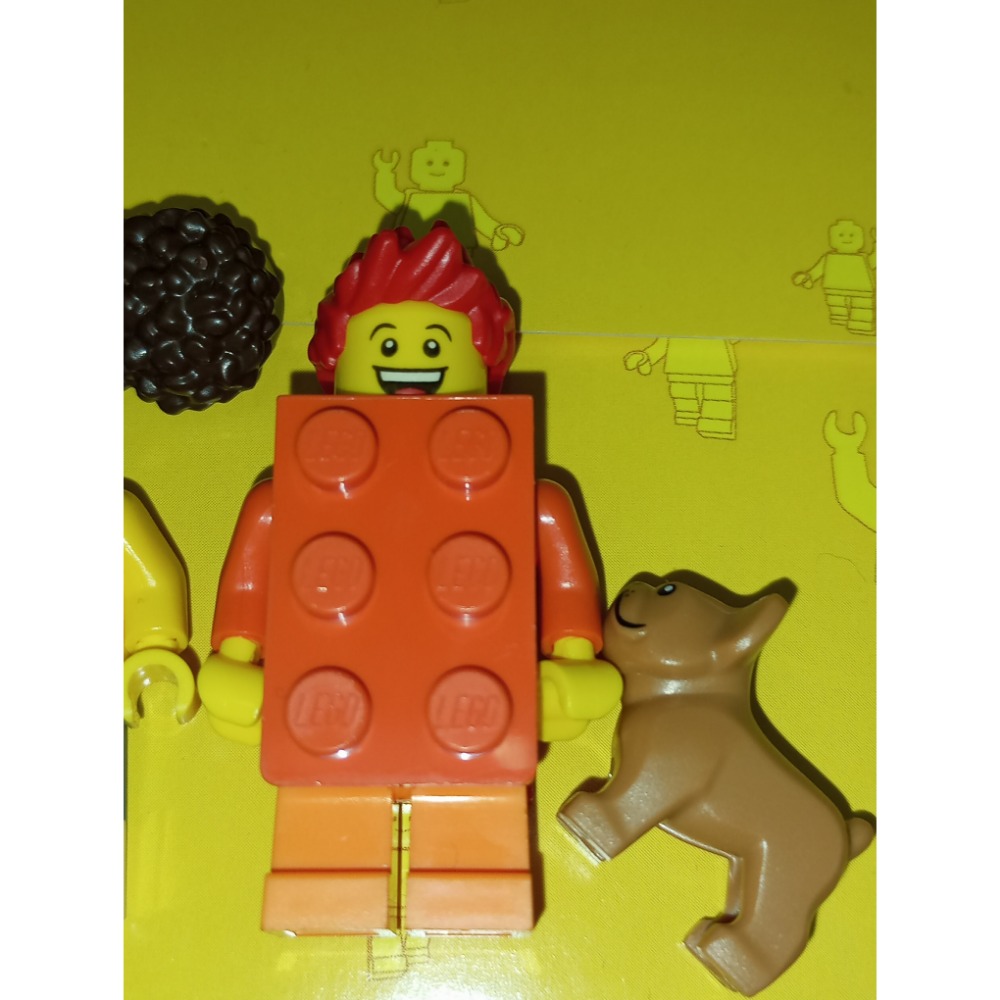 ［Brickhouse] LEGO 樂高 BAM 2025 Jan Feb 維京小子 摔角手 深橘磚塊人 全新-細節圖4