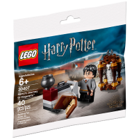 ［BrickHouse] LEGO 樂高 30407 哈利波特霍格華茲的旅程 全新 poly A7