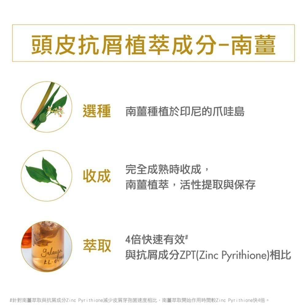 KLORANE 蔻蘿蘭 速效抗屑洗髮精 400ml 乾性頭皮屑 油頭【瑞昌藥局】010522-細節圖3