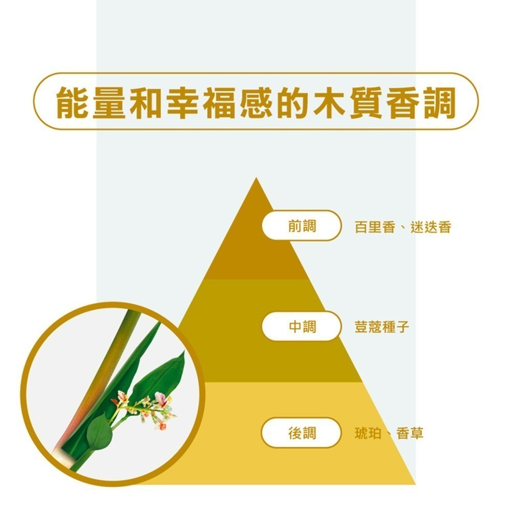 KLORANE 蔻蘿蘭 速效抗屑洗髮精 400ml 乾性頭皮屑 油頭【瑞昌藥局】010522-細節圖4