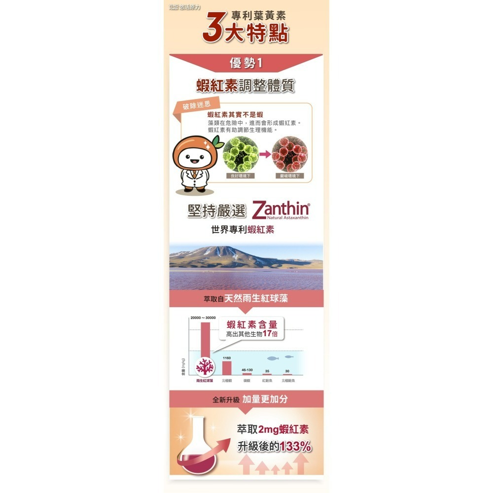 【預購】悠活原力 金盞花萃取葉黃素+紅藻萃取蝦紅素複方軟膠囊30粒【瑞昌藥局】017875-細節圖5