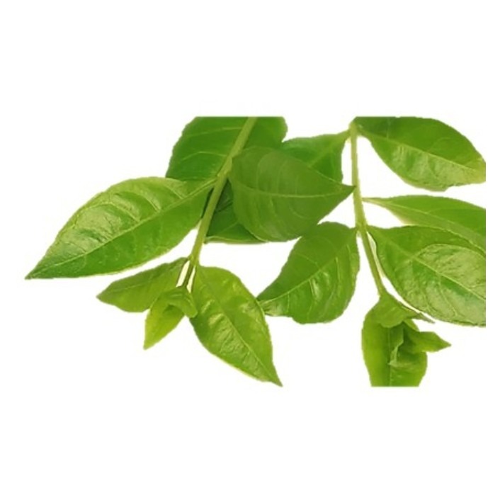 第一白髮剋星 白髮好上色✨強健髮根✨頭髮柔順富彈性✨免運✨五送一✨滿額折✨曼髮妮白髮專用染髮露✨-細節圖5