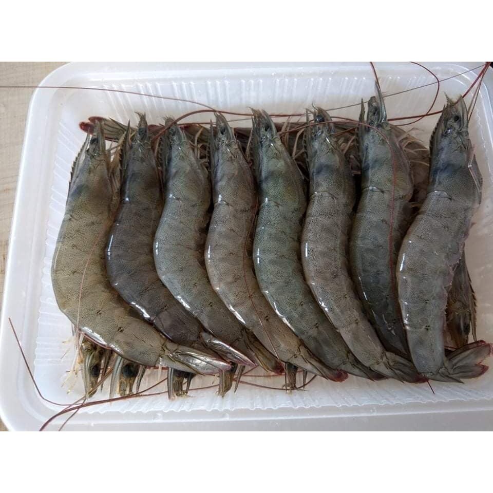 幸福海味-頂級靈芝白蝦 <600g> #4盒-細節圖2