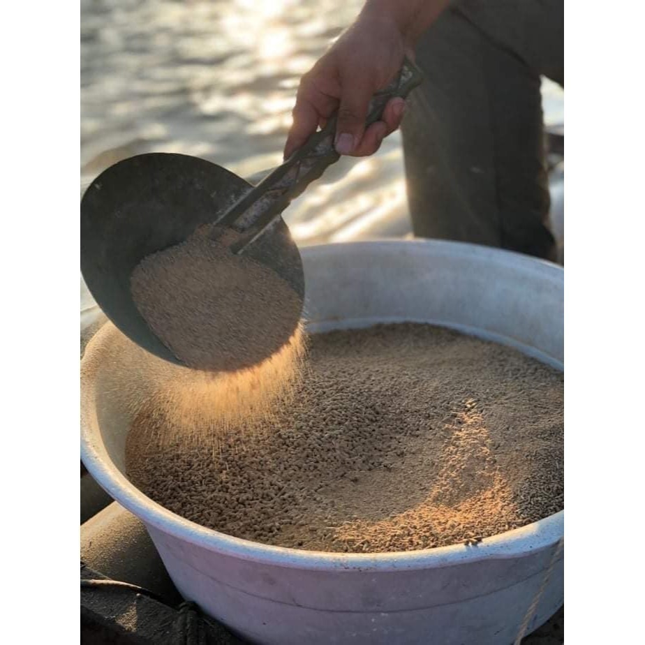 幸福海味-頂級靈芝白蝦 <600g> #4盒-細節圖5