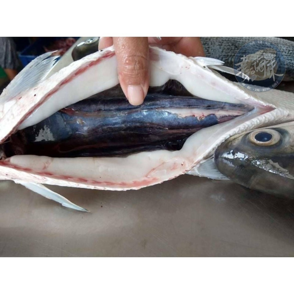 幸福海味-無刺靈芝虱目魚 #8片-細節圖2