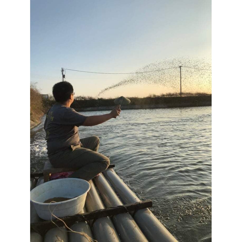 幸福海味-無刺靈芝虱目魚 #8片-細節圖6