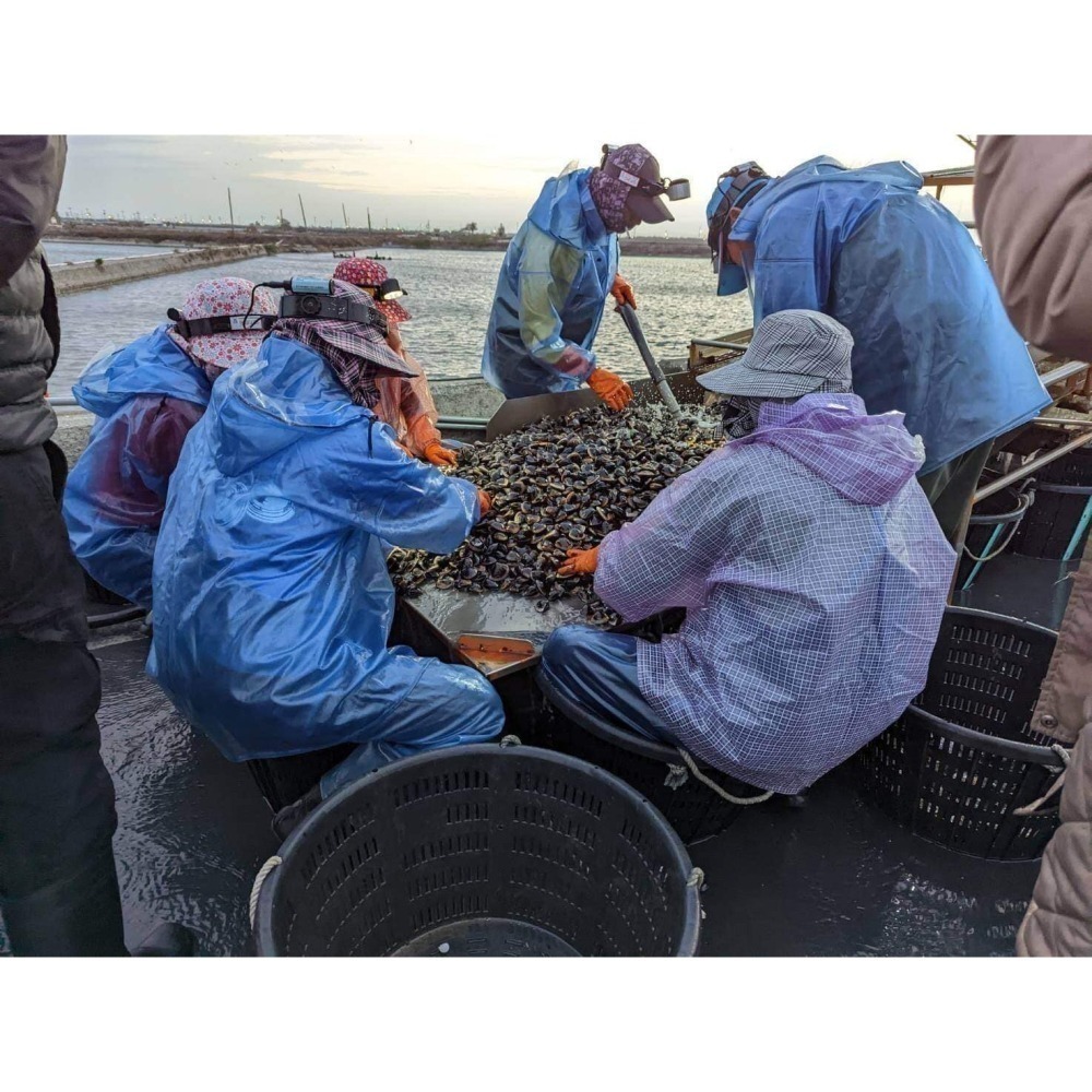 幸福海味-頂級台灣文蛤 <600g> #10包-細節圖2