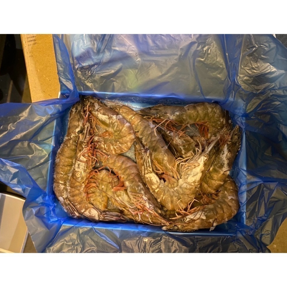 義合旺-天鑽白蝦 <600g> #12盒-細節圖4