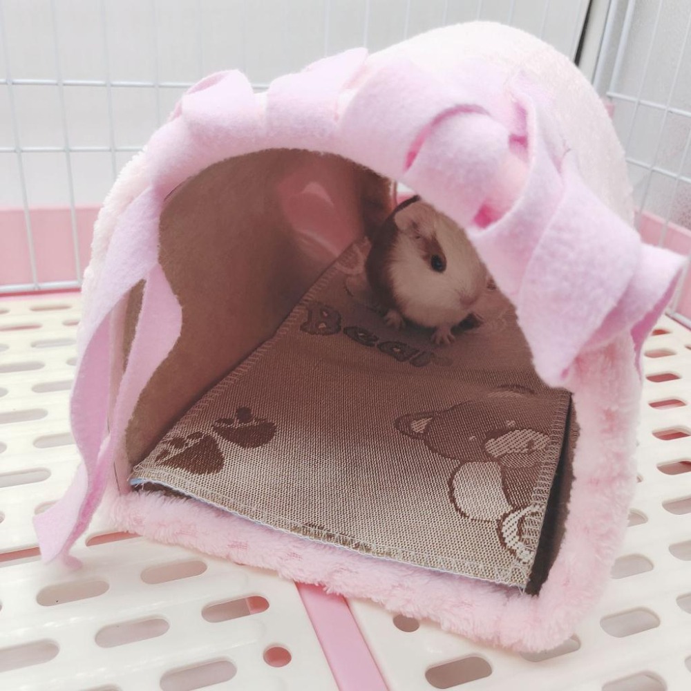 ╟Engle╢ 小寵流蘇躲避隧道 躲避屋 隧道 兔子 天竺鼠 倉鼠 黃金鼠 松鼠 蜜袋鼯 小寵 躲避隧道-細節圖2