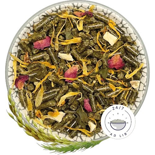 德國邦尼 bunny 夢想栗鼠 (龍貓) 1.2kg 龍貓 龍貓飼料 無糖飼料 全齡龍貓 全年齡 栗鼠-細節圖4