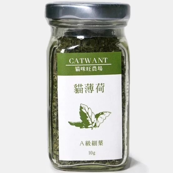 貓咪旺農場 純天然A級貓薄荷細葉 貓草 貓薄荷 紓壓-規格圖1