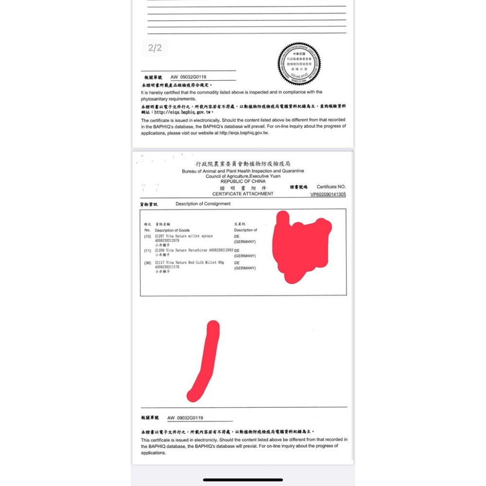 Vitakraft Vita 黃色 米穗 無長枝 單隻販售 小米穗 天然零食 倉鼠 黃金鼠 鸚鵡 松鼠-細節圖2