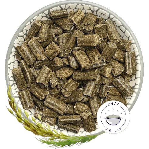 德國邦尼 bunny 夢想幼兔 無糖配方 1.5kg 幼兔 兔 兔飼料 幼兔飼料 無糖兔飼料-細節圖4
