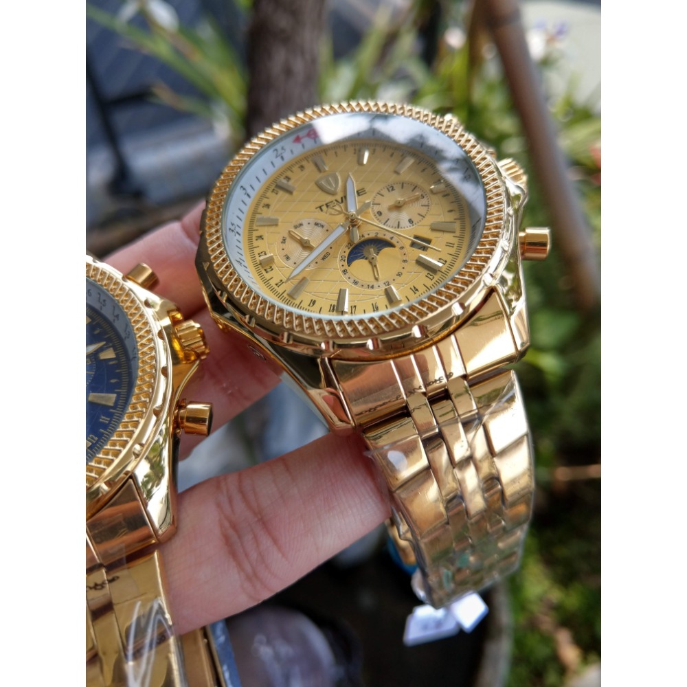 特威斯 全自動機械錶 金錶 電鍍金 不鏽鋼錶帶-細節圖2