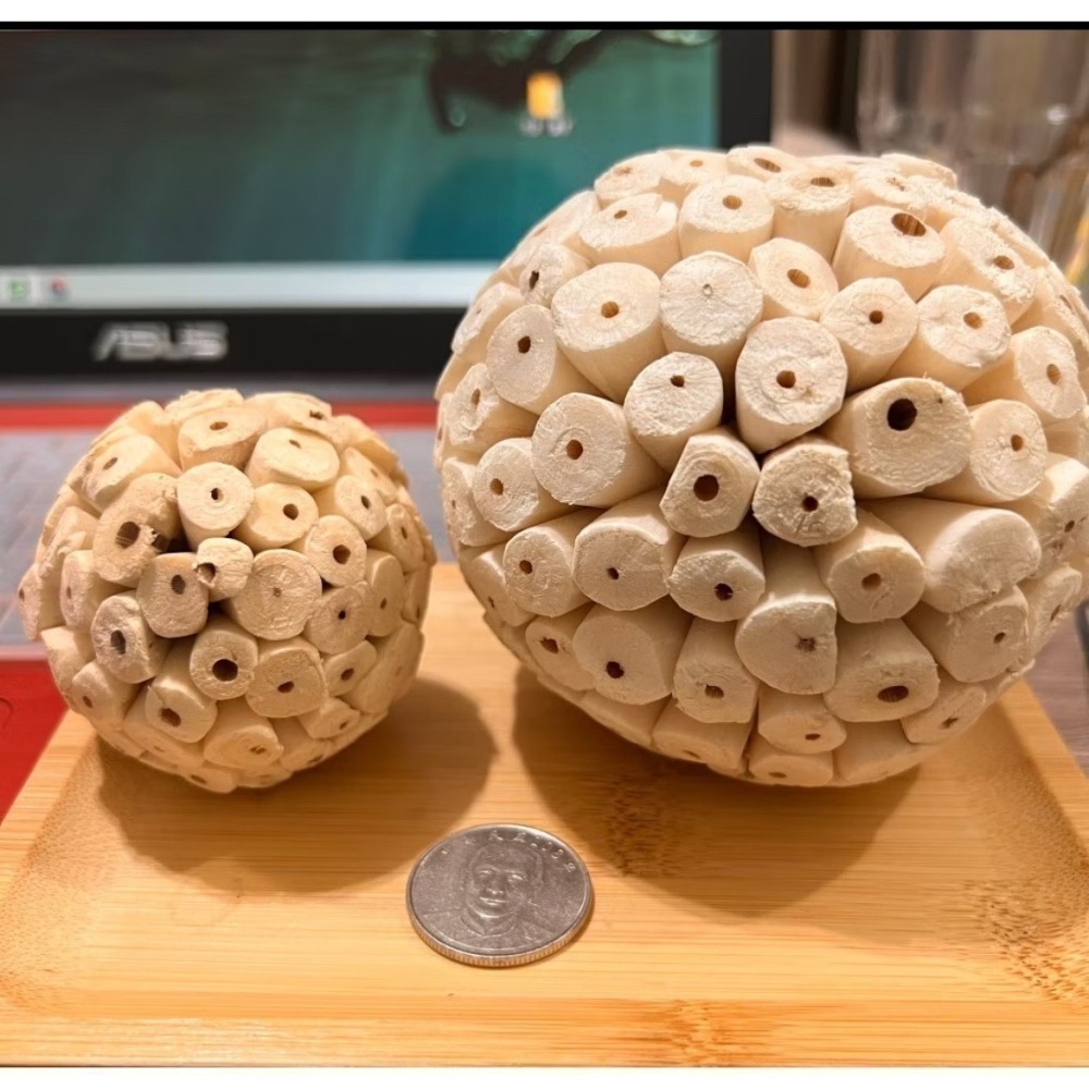 索拉球/通草球 10cm 6cm 天然無毒植物根莖製成 鸚鵡、鼠、兔寵物啃咬玩具  妮歐小賣部｜鸚鵡用品玩具首選 🚚2-細節圖5