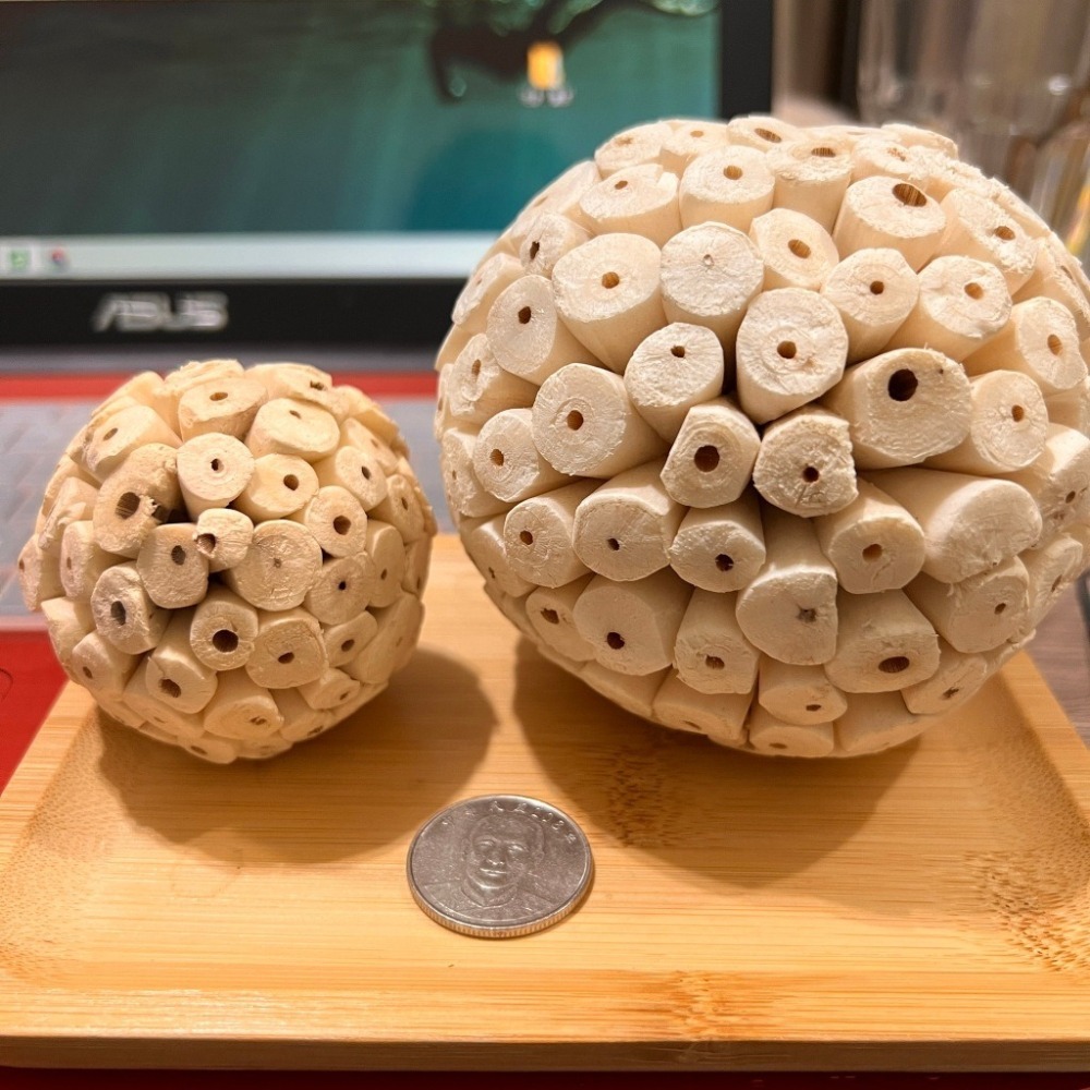 索拉球/通草球 10cm 6cm 天然無毒植物根莖製成 鸚鵡、鼠、兔寵物啃咬玩具  妮歐小賣部｜鸚鵡用品玩具首選 🚚2-細節圖6