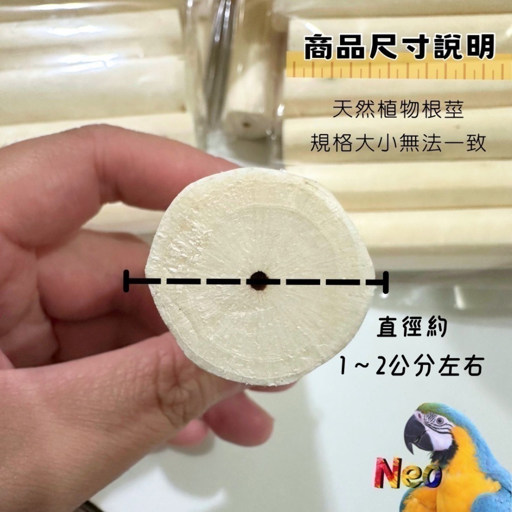 無皮 Sola 索拉棒 / 通草棒 天然無毒植物根莖 鸚鵡、鼠、兔寵物啃咬玩具  妮歐小賣部｜鸚鵡用品玩具首選 🚚24-細節圖2