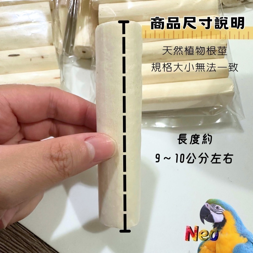 無皮 Sola 索拉棒 / 通草棒 天然無毒植物根莖 鸚鵡、鼠、兔寵物啃咬玩具  妮歐小賣部｜鸚鵡用品玩具首選 🚚24-規格圖4