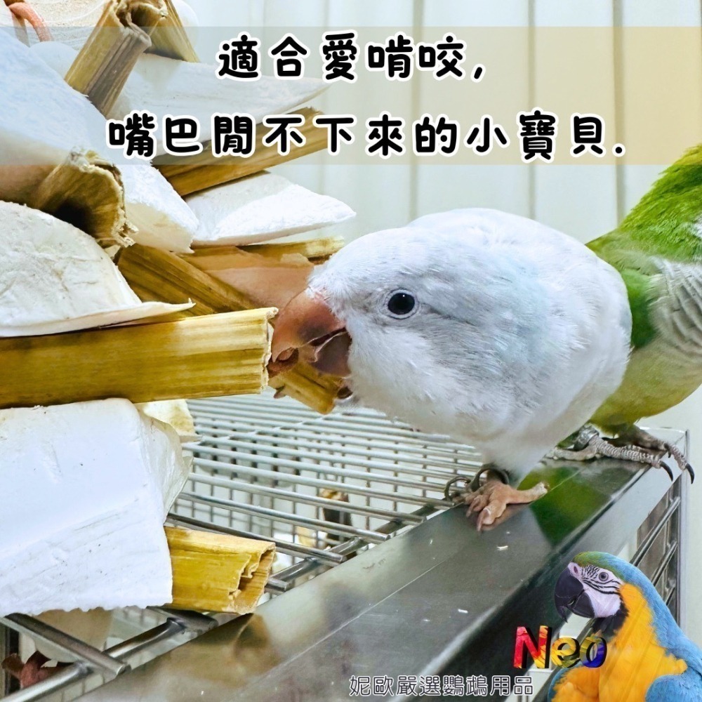 天然啃咬玩具 乾燥木瓜莖與墨魚骨組合棒串 蹦出新滋味 健康補鈣 適合嘴巴閒不下來的寶貝 妮歐小賣部｜鸚鵡用品玩具首選-細節圖4