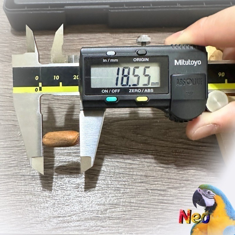 妮歐嚴選好堅果 帶殼大松子 東北大紅松子 低溫烘乾 香酥脆口 大型鸚鵡零食 妮歐小賣部｜鸚鵡用品玩具首選 🚚24H快速-細節圖3