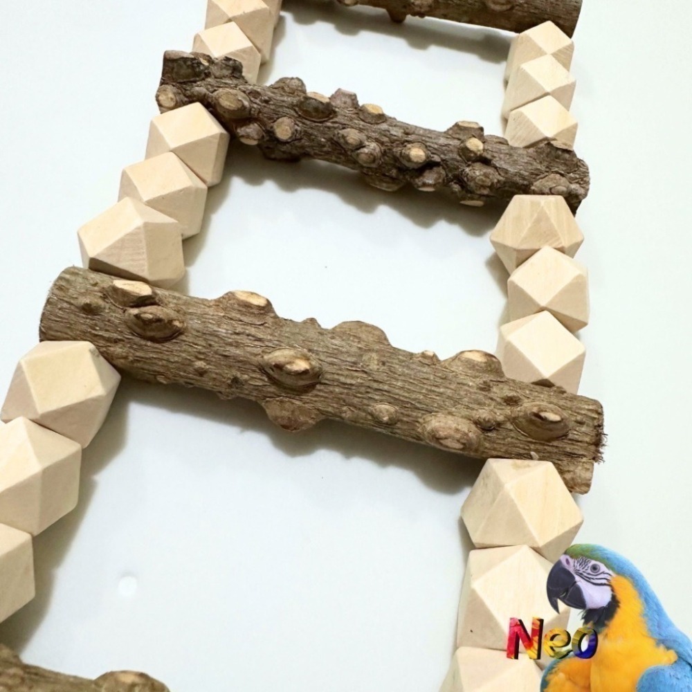 鸚鵡原木爬梯 花椒木 原色八角木珠 防啃咬鋼線 多款尺寸長度 中小型鸚鵡籠內玩具 妮歐小賣部｜鸚鵡用品玩具首選 🚚24-細節圖2