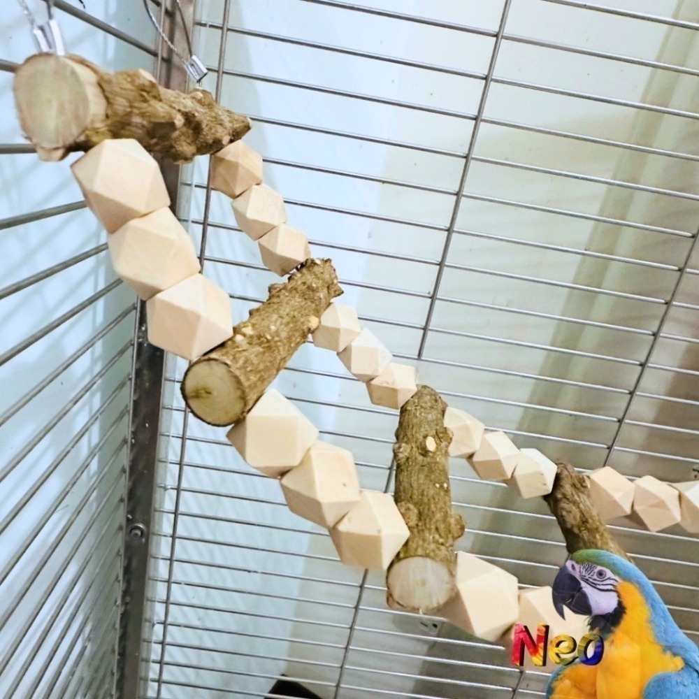鸚鵡原木爬梯 花椒木 原色八角木珠 防啃咬鋼線 多款尺寸長度 中小型鸚鵡籠內玩具 妮歐小賣部｜鸚鵡用品玩具首選 🚚24-細節圖3