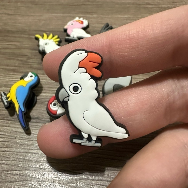 可愛鸚鵡造型 洞洞鞋扣 鸚鵡控必備 灰鸚鵡 琉璃金剛 紅金剛 朱陸冠巴丹 葵花巴丹 棕櫚巴丹 車輪冠巴丹 妮歐小賣部｜鸚-規格圖1