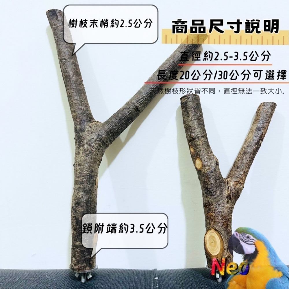 天然木頭站棍 Y形棲木休息站棍 2.5~3.5mm 適合中小、中大型鸚鵡 妮歐小賣部｜鸚鵡用品玩具首選 🚚24H快速出-規格圖3