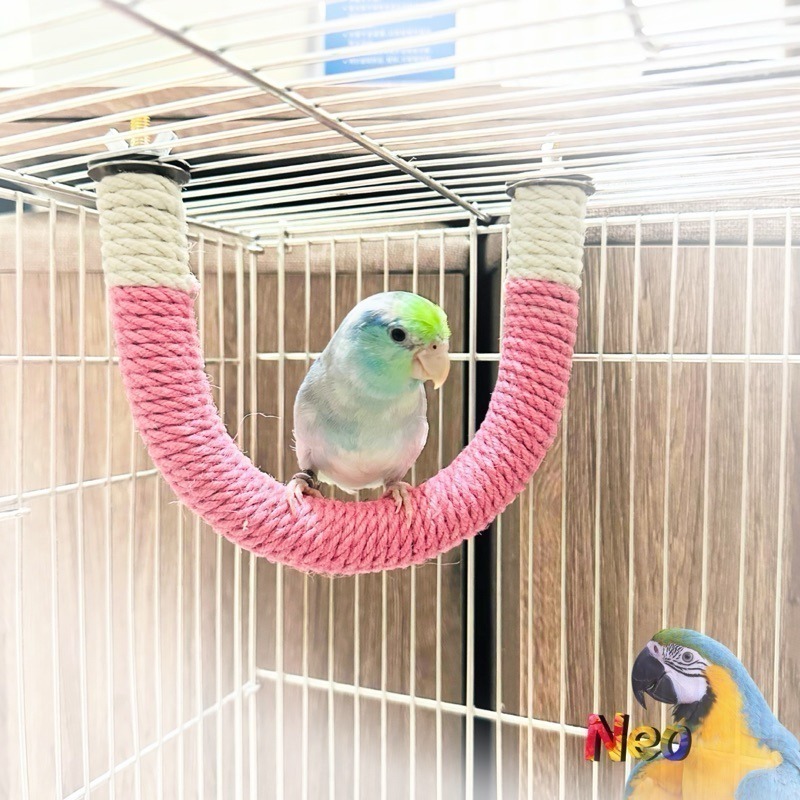 U形麻繩編織站棍 2.5cm 多種顏色、尺寸選擇 適合中小型鸚鵡 妮歐小賣部｜鸚鵡用品玩具首選 🚚24H快速出貨-細節圖4