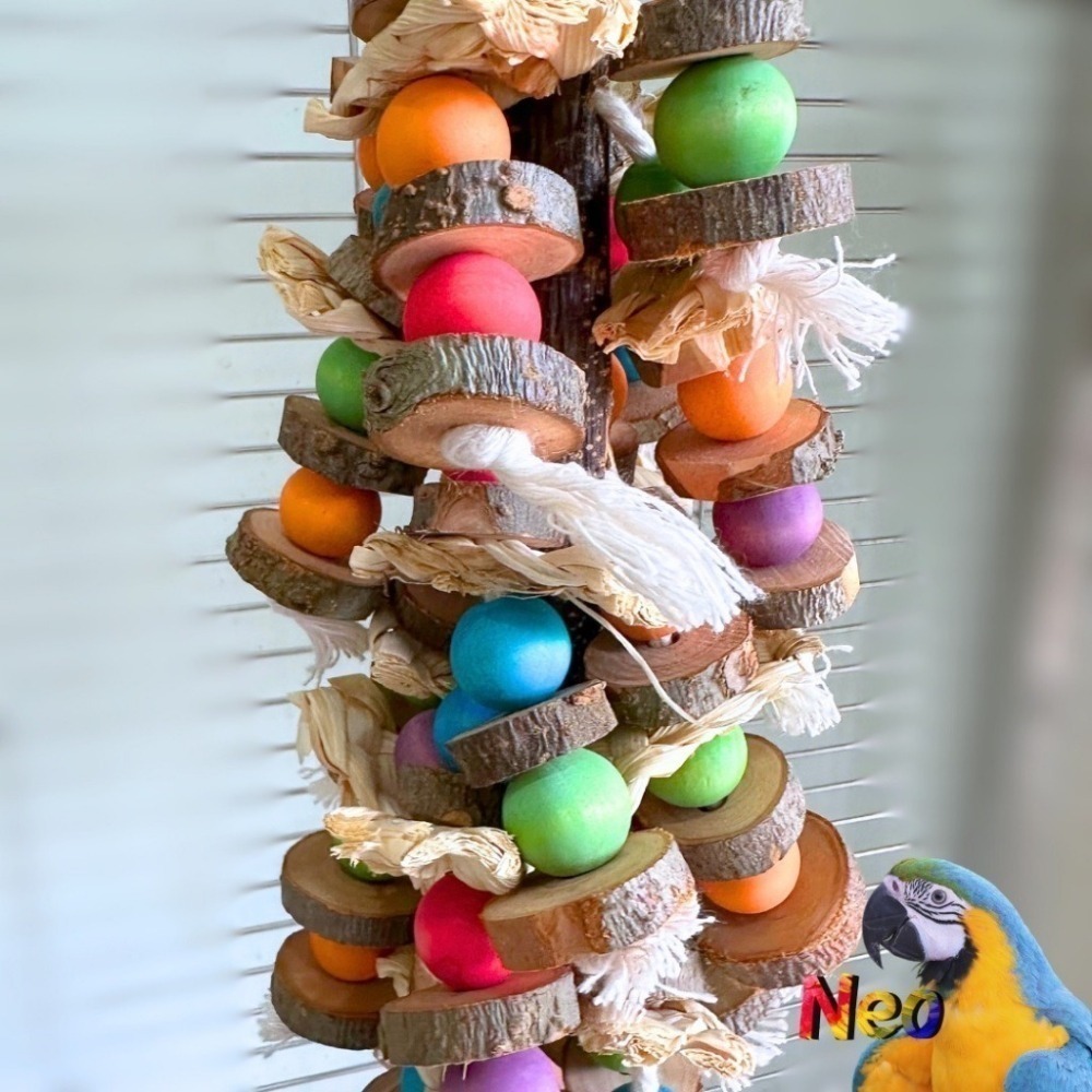 天然啃咬玩具 恐龍搶珠 搗蛋小恐龍 玉米皮 原木片 彩株掛串 妮歐小賣部｜鸚鵡用品玩具首選 🚚24H快速出貨-細節圖6