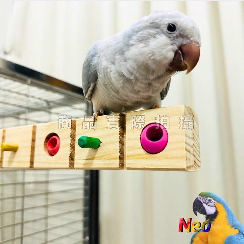 天然木頭站棍 松木彩珠方格站棍 益智 啃咬 覓食 消遣 豐富鳥寶生活 妮歐小賣部｜鸚鵡用品玩具首選 🚚24H快速出貨-細節圖5
