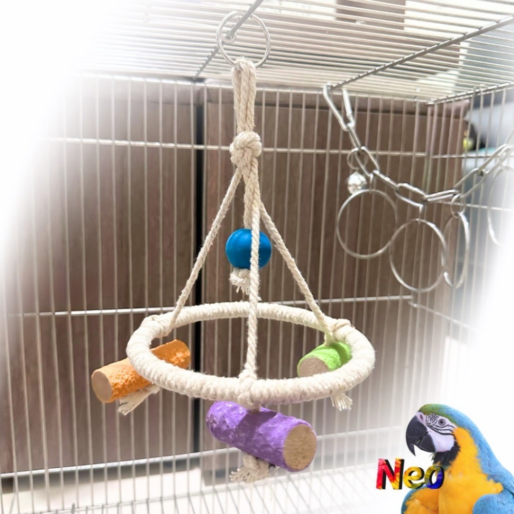 遊樂園系列 棉繩鞦韆 鸚鵡遊戲 攀爬 擺盪鞦韆 給鳥寶打造個小公園 妮歐小賣部｜鸚鵡用品玩具首選 🚚24H快速出貨-細節圖3