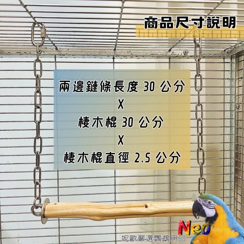 鐵木真『硬』系列 不鏽鋼 天然棲木鞦韆 表面光滑 適合中小型鸚鵡啃擺盪玩樂 妮歐小賣部｜鸚鵡用品玩具首選 🚚24H快速-細節圖2