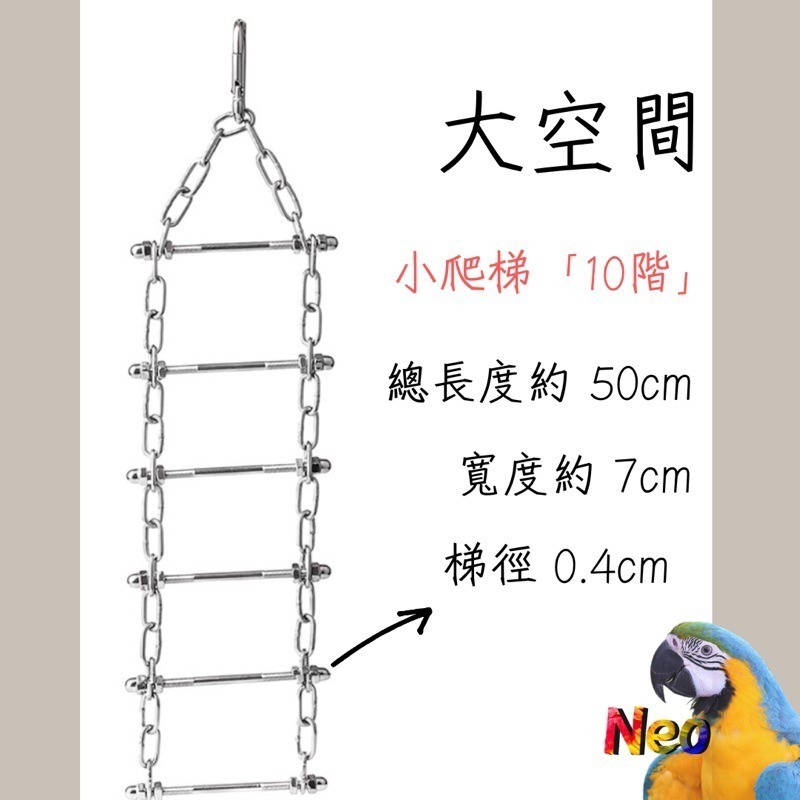 304不鏽鋼玩具 鸚鵡遊戲爬梯 攀爬 擺盪 吊橋 小階梯 可水洗 耐啃咬 妮歐小賣部｜鸚鵡用品玩具首選 🚚24H快速出-細節圖6