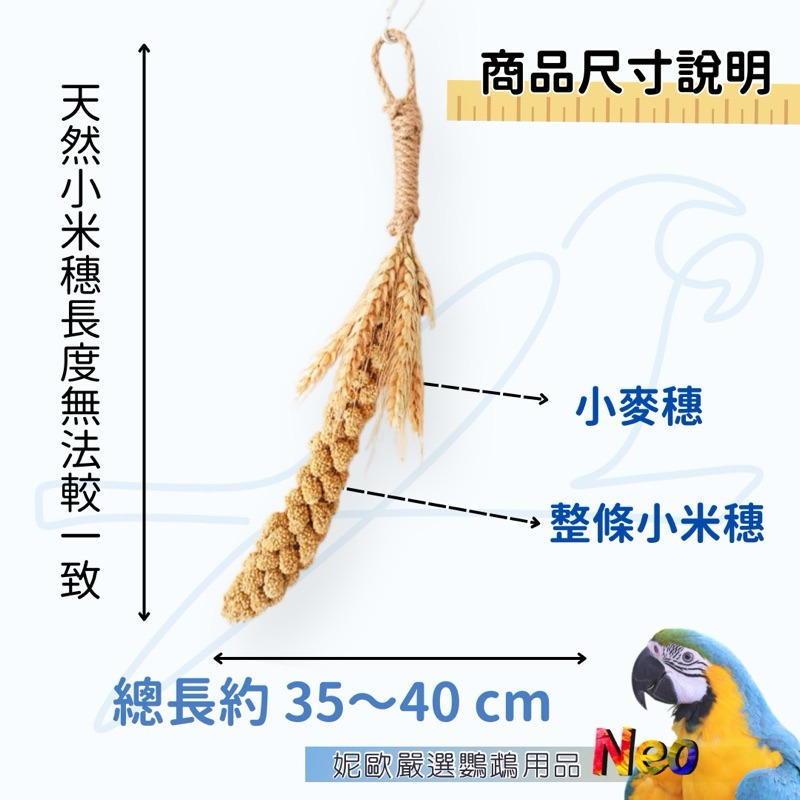 天然啃咬玩具 麥香米穗串 好吃又好玩 小米搭配麥穗 蹦出新滋味 妮歐小賣部｜鸚鵡用品玩具首選 🚚24H快速出貨-細節圖2