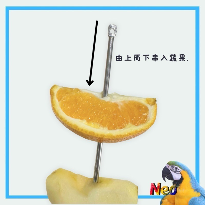 304不鏽鋼 蔬菜水果叉 玩具DIY掛串 耐用 可水洗 好清潔  妮歐小賣部｜鸚鵡用品玩具首選 🚚24H快速出貨-細節圖3