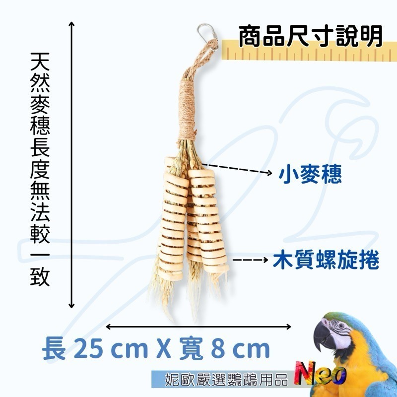 天然啃咬玩具 麥穗可樂果串 螺旋磨牙搭配小麥穗 是玩具也是點心 妮歐小賣部｜鸚鵡用品玩具首選 🚚24H快速出貨-細節圖2