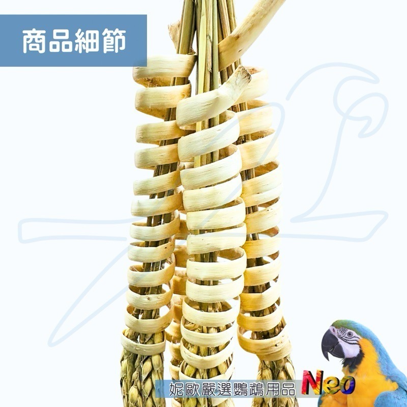 天然啃咬玩具 麥穗可樂果串 螺旋磨牙搭配小麥穗 是玩具也是點心 妮歐小賣部｜鸚鵡用品玩具首選 🚚24H快速出貨-細節圖4