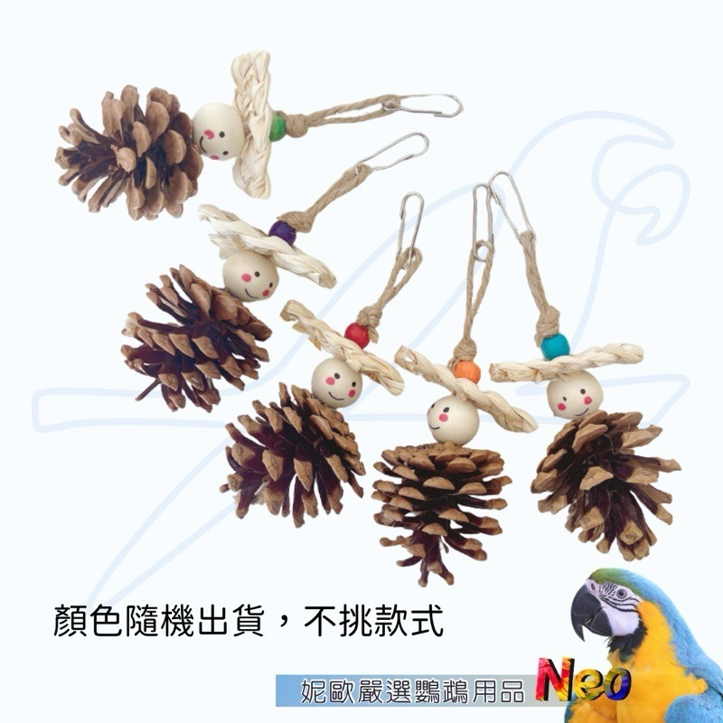 天然啃咬玩具 微笑Smile松果 天然果實掛串 籠內小擺飾 小型鸚鵡啃咬玩具 妮歐小賣部｜鸚鵡用品玩具首選 🚚24H-細節圖4