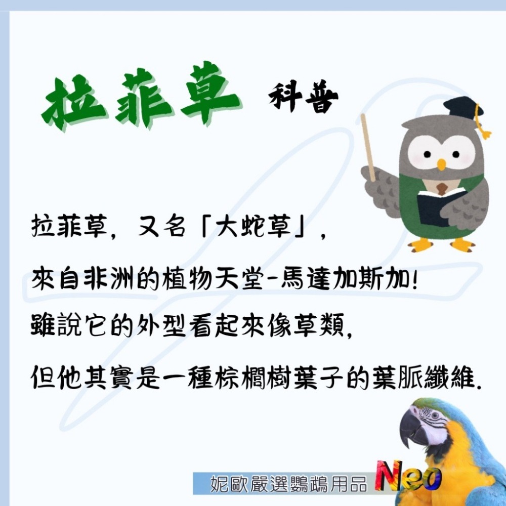 天然啃咬玩具 籐球拉草串 彩色藤球 無染色拉菲草 小型鸚鵡拉絲啃咬好選擇 妮歐小賣部｜鸚鵡用品玩具首選 🚚24H快速出-細節圖3
