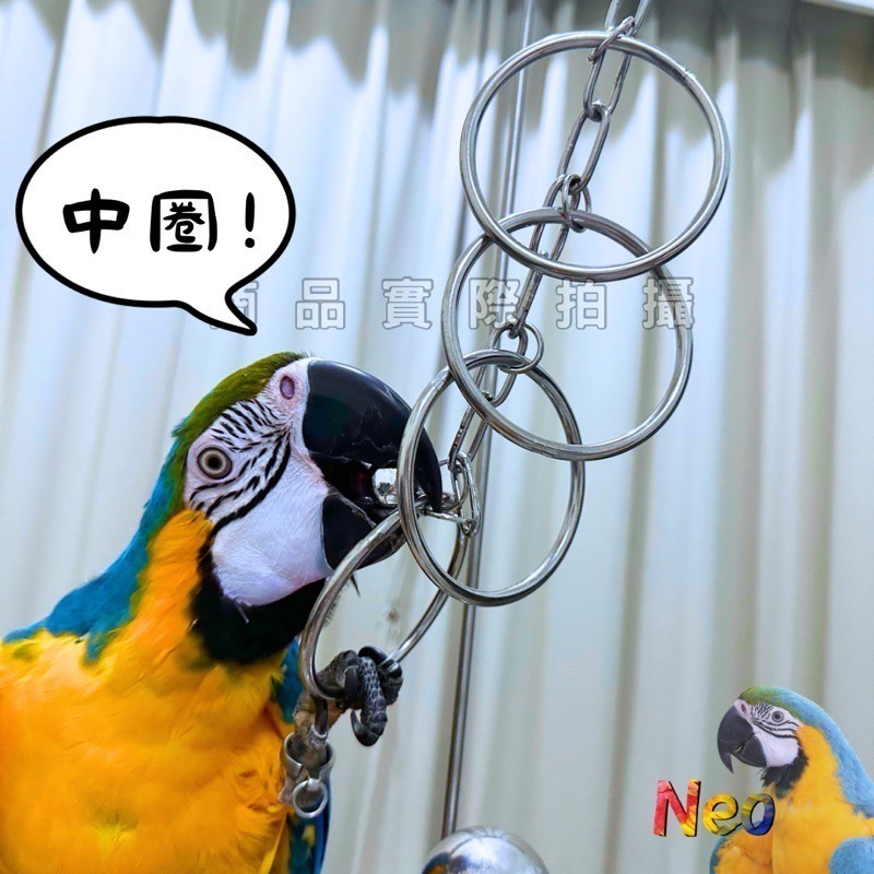 304不鏽鋼玩具 攀爬啃咬轉圈圈 ⭕️愛的魔力轉圈圈⭕️ 玩樂安全耐啃咬 可水洗 妮歐小賣部｜鸚鵡用品玩具首選 🚚24-規格圖7