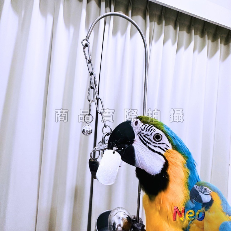 不鏽鋼玩具 ✨閃亮忘憂鈴鐺串✨  304不鏽鋼零件 搭配4款隨機造型小牌 妮歐小賣部｜鸚鵡用品玩具首選 🚚24H快速出-細節圖6