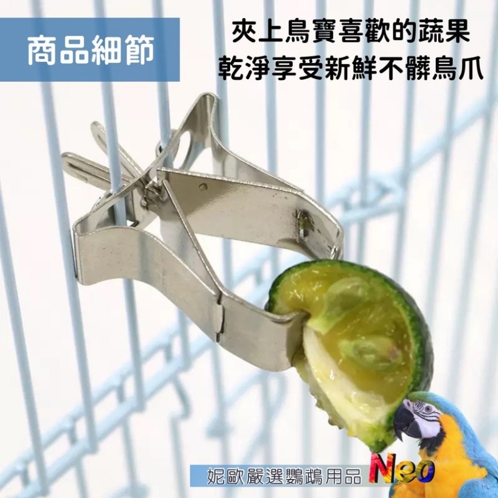 304不鏽鋼 蔬菜水果夾 耐用 可水洗 好清潔 妮歐小賣部｜鸚鵡用品玩具首選 🚚24H快速出貨-細節圖6