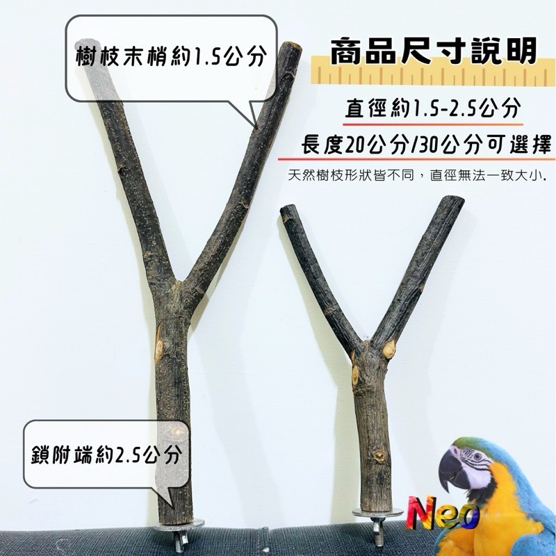 天然木頭站棍 Y形棲木休息站棍 1.5~2.5mm 適合中小型鸚鵡 妮歐小賣部｜鸚鵡用品玩具首選 🚚24H快速出貨-規格圖3