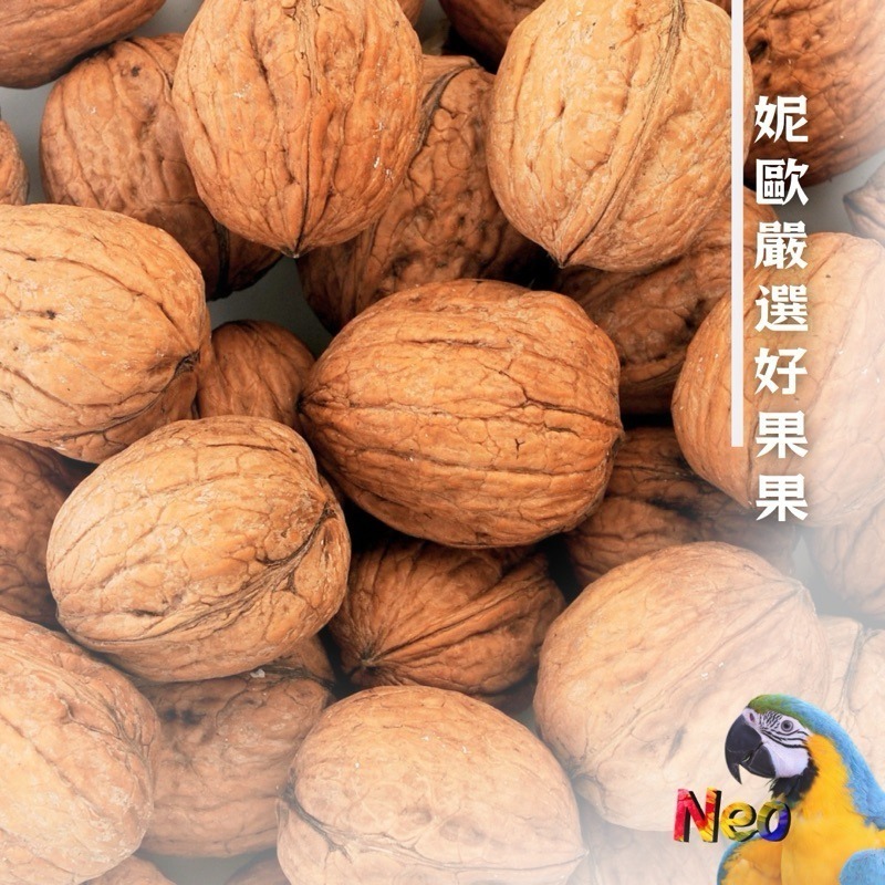 妮歐嚴選好堅果 帶殼生核桃 大顆粒 人食等級 大型鸚鵡零食 妮歐小賣部｜鸚鵡用品玩具首選 🚚24H快速出貨-細節圖2