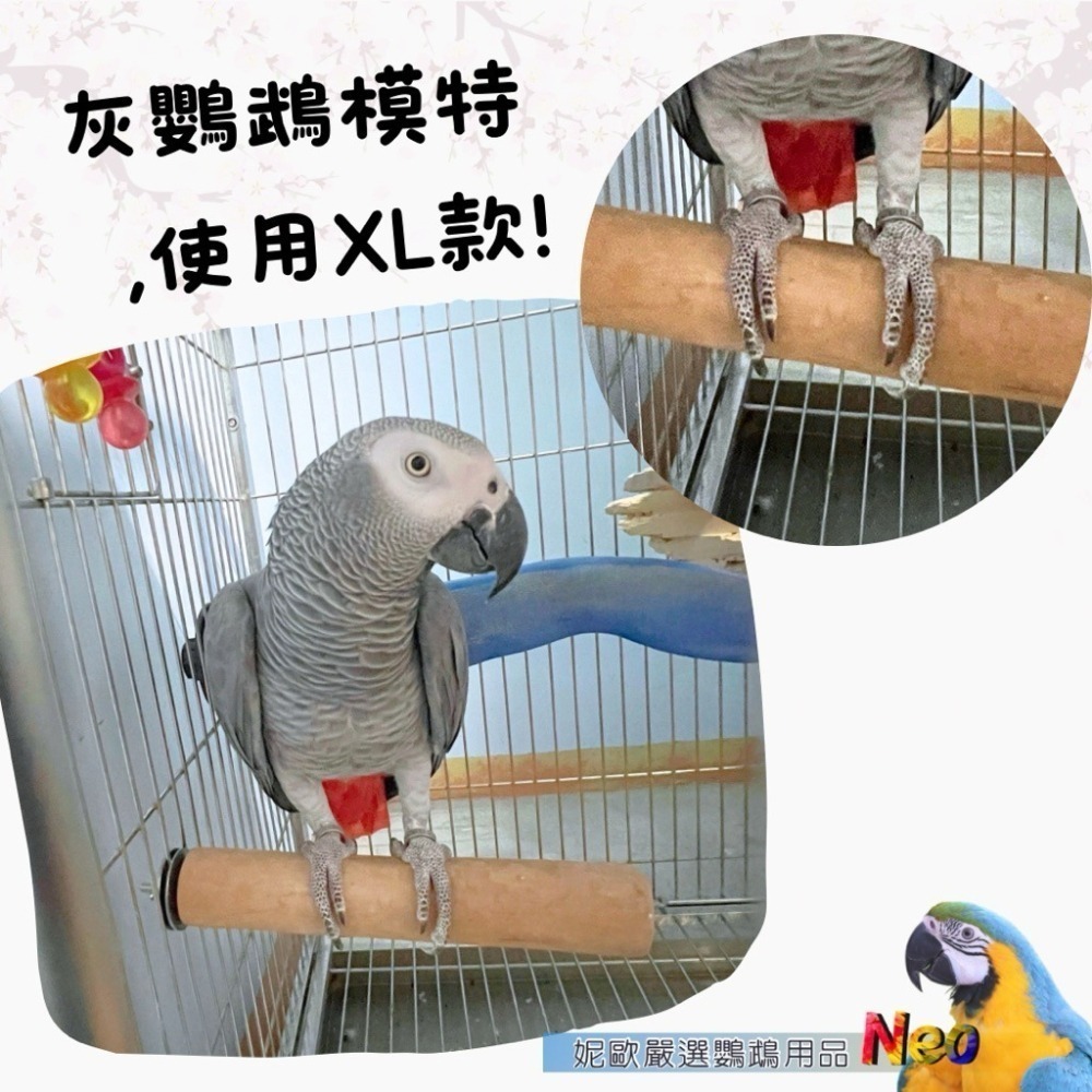 天然木頭站棍 櫻花木原木站棍 表面均已拋光處理 4種尺寸可選擇 (直徑2~4cm) 妮歐小賣部｜鸚鵡用品玩具首選 🚚2-細節圖9