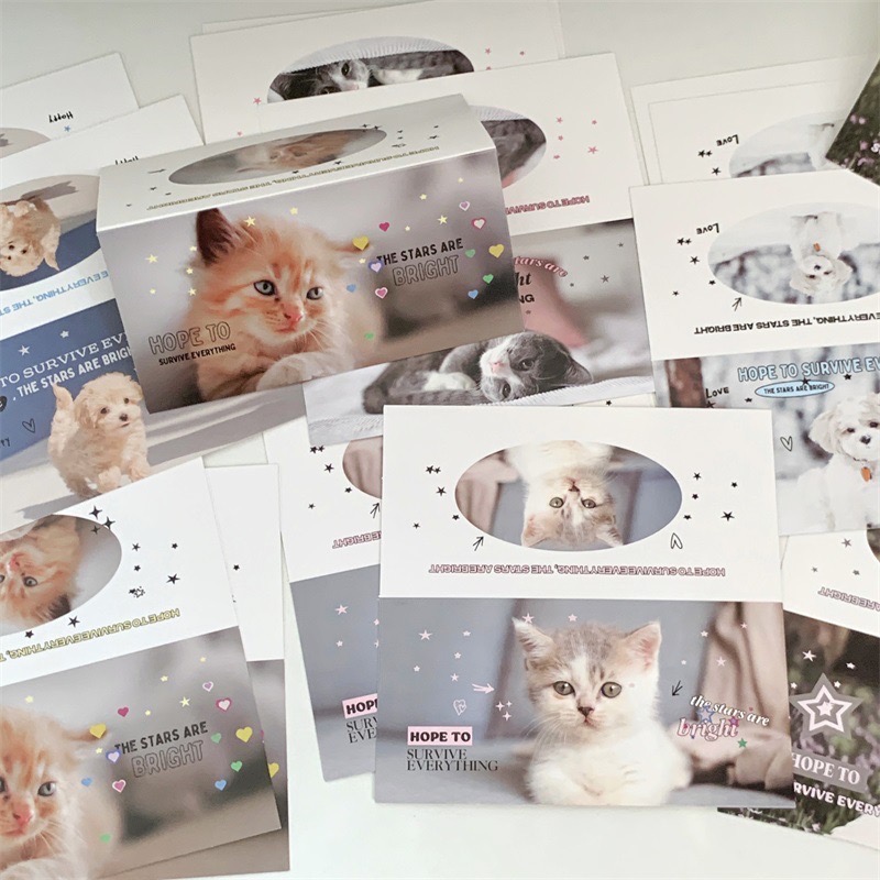 （🆕）原創可愛小動物 貓咪小狗 寵物大卡頭 偶像明星愛豆專輯小卡 打包材料 追星包裝 飾品出卡 追星必備-細節圖2